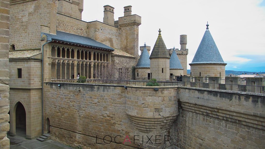 CAS_OLITE-5